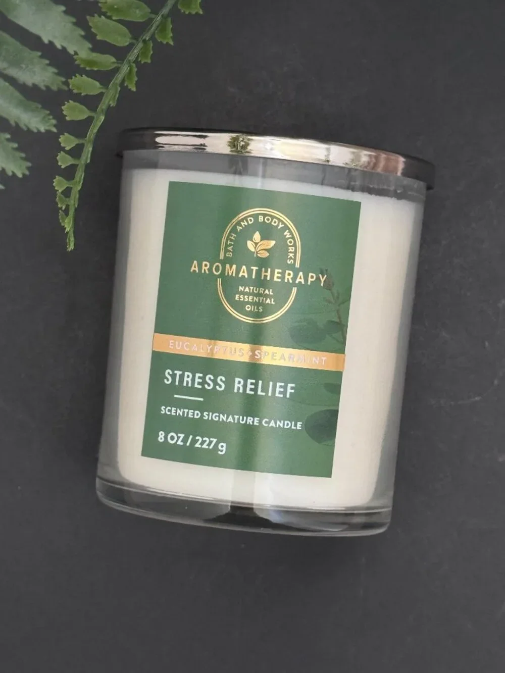 BBW Stress Relief Eucalyptus Spearmint Bath & Body Works Single Wick Candle